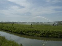 NL, Zuid-Holland, Dordrecht, Polder De Biesbosch 1, Saxifraga-Marijke Verhagen