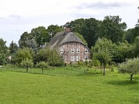 D, Brandenburg, Lenzerwische, Elbe valley near Lenzen 7, Saxifraga-Tom Heijnen