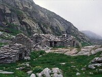 I, Valle d'Aosta, Rhemes-Notre Dame, Alp Foges 1, Saxifraga-Jan van der Straaten