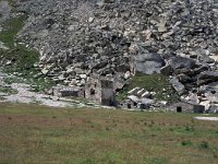 I, Valle d'Aosta, Valsavarenche, Alp du Grand Collet 1, Saxifraga-Jan van der Straaten