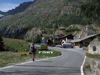 I, Valle d'Aosta, Valsavarenche, Dora del Nivolet 1, Saxifraga-Jan van der Straaten