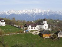 RO, Brasov, Moieciu, Magura 4, Saxifraga-Tom Heijnen