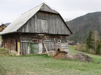 RO, Brasov, Moieciu, Magura 5, Saxifraga-Tom Heijnen