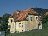 SLO, Ptuj, Zetale 1, Saxifraga-Jan van der Straaten
