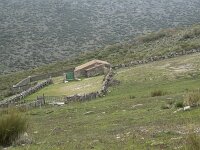 E, Avila, Hoyos del Espino 19, Saxifraga-Willem van Kruijsbergen