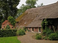 NL, Drenthe, De Wolden, Ansen 2, Saxifraga-Hans Dekker