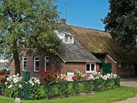 NL, Drenthe, De Wolden, Armweide 2, Saxifraga-Hans Dekker