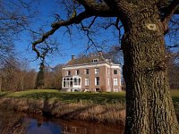 NL, Drenthe, De Wolden, Dickninge 1, Saxifraga-Hans Dekker