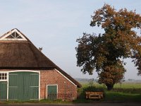 NL, Drenthe, De Wolden, Echten 1, Saxifraga-Hans Dekker