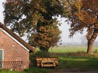 NL, Drenthe, De Wolden, Echten 2, Saxifraga-Hans Dekker