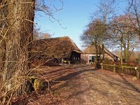 NL, Drenthe, De Wolden, Steenbergen 10, Saxifraga-Hans Dekker