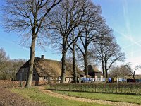 NL, Drenthe, De Wolden, Steenbergen 4, Saxifraga-Hans Dekker