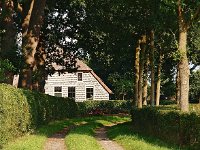 NL, Drenthe, De Wolden, Steenbergen 5, Saxifraga-Hans Dekker