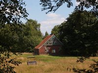 NL, Drenthe, Emmen, Bargerveen 31, Saxifraga-Hans Dekker