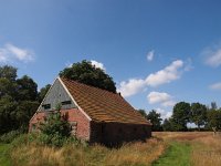 NL, Drenthe, Emmen, Bargerveen 32, Saxifraga-Hans Dekker