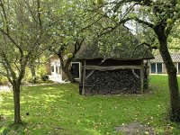 NL, Drenthe, Midden-Drenthe, Orvelte 38, Saxifraga-Hans Dekker