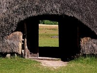 NL, Drenthe, Midden-Drenthe, Orvelte 61, IJzertijdboerderij, Saxifraga-Hans Dekker