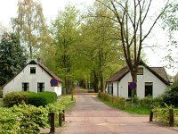 NL, Drenthe, Westerveld, Frederiksoord 1, Saxifraga-Hans Dekker