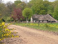 NL, Drenthe, Westerveld, Frederiksoord 3, Saxifraga-Hans Dekker