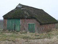 NL, Friesland, Noardeast-Fryslan, Anjum 1, Saxifraga-Hans Boll