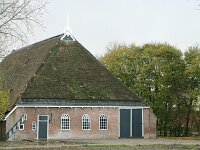 NL, Friesland, Noardeast-Fryslan, Kollumerzwaag 3, Saxifraga-Hans Boll