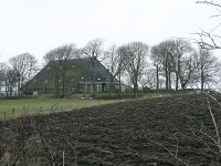 NL, Friesland, Noardeast-Fryslan, Tibma 1, Saxifraga-Hans Boll