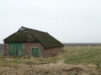NL, Friesland, Noardeast-Fryslanl, Anjum 2, Saxifraga-Hans Boll