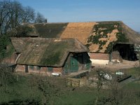 NL, Gelderland, West-Betuwe, Heesselt 7, Saxifraga-Jan van der Straaten