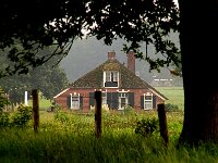 NL, Overijssel, Rijssen-Holten 7, Saxifraga-Foto Fitis-Sytske Dijksen