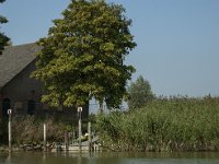 NL, Zuid-Holland, Dodrecht, Zuileshoeve 2, Saxifraga-Marijke Verhagen