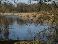 NL, Noord-Brabant, Bergeijk, Pastoorsweijer 11, Saxifraga-Jan van der Straaten