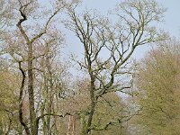 Valkenswaard