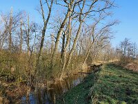 NL, Noord-Brabant, Valkenswaard, Visvijvers in Landgoed Valkenhorst 29, Saxifraga-Tom Heijnen