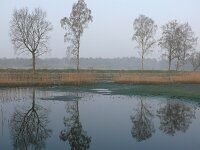 NL, Noord-Brabant, Valkenswaard, Visvijvers in Landgoed Valkenhorst 3, Saxifraga-Tom Heijnen