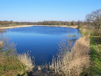 NL, Noord-Brabant, Valkenswaard, Visvijvers in Landgoed Valkenhorst 31, Saxifraga-Tom Heijnen