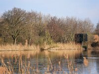 NL, Noord-Brabant, Valkenswaard, Visvijvers in Landgoed Valkenhorst 35, Saxifraga-Tom Heijnen