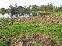 NL, Noord-Brabant, Valkenswaard, Visvijvers in Landgoed Valkenhorst 40, Saxifraga-Tom Heijnen