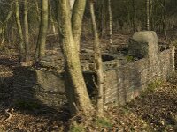 NL, Noord-Brabant, Valkenswaard, fishponds 12, Saxifraga-Jan van der Straaten
