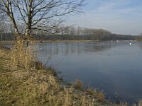 NL, Noord-Brabant, Valkenswaard, fishponds 13, Saxifraga-Jan van der Straaten