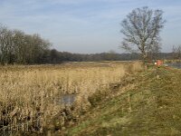 NL, Noord-Brabant, Valkenswaard, fishponds 18, Saxifraga-Jan van der Straaten