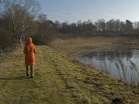 NL, Noord-Brabant, Valkenswaard, fishponds 28, Saxifraga-Jan van der Straaten