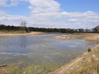 NL, Noord-Brabant, Valkenswaard, Visvijvers in Landgoed Valkenhorst 10, Saxifraga-Tom Heijnen