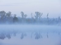 NL, Noord-Brabant, Valkenswaard, Visvijvers in Landgoed Valkenhorst 17, Saxifraga-Tom Heijnen