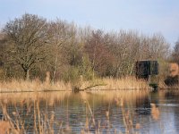 NL, Noord-Brabant, Valkenswaard, Visvijvers in Landgoed Valkenhorst 35, Saxifraga-Tom Heijnen