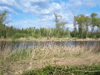 NL, Noord-Brabant, Valkenswaard, Visvijvers in Landgoed Valkenhorst 36, Saxifraga-Tom Heijnen