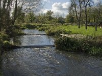 B, Limburg, Kinrooi, Abeek 10, Saxifraga-Jan van der Straaten