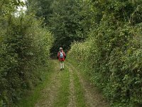 B, Liege, Sint Martens-Voeren, Altenbroek 5, Saxifraga-Jan van der Straaten