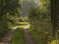 B, Limburg, Kinrooi, De Brand 24, Saxifraga-Jan van der Straaten