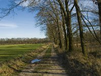 B, Limburg, Kinrooi, Hasselterbroek 9, Saxifraga-Jan van der Straaten