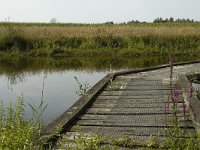 B, Limburg, Kinrooi, Smeetshof 25, Saxifraga-Marijke Verhagen